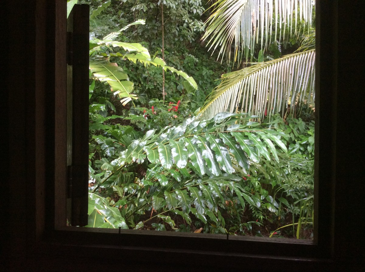 Vacations Can’t be All Sunshine and&nbsp;Roses