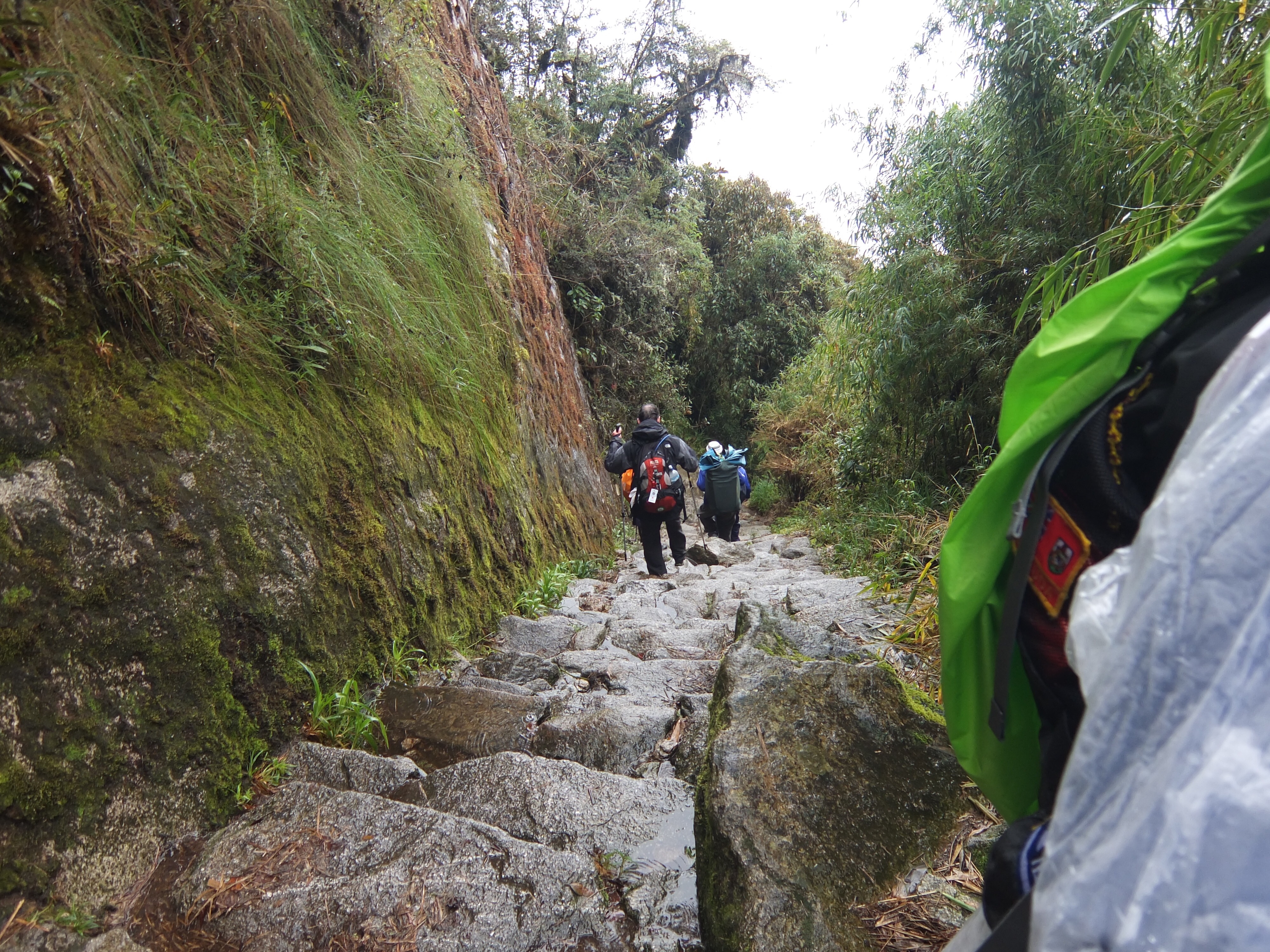 8A55E1F5-0EAC-4D24-8CD4-B5C1F4AD633A