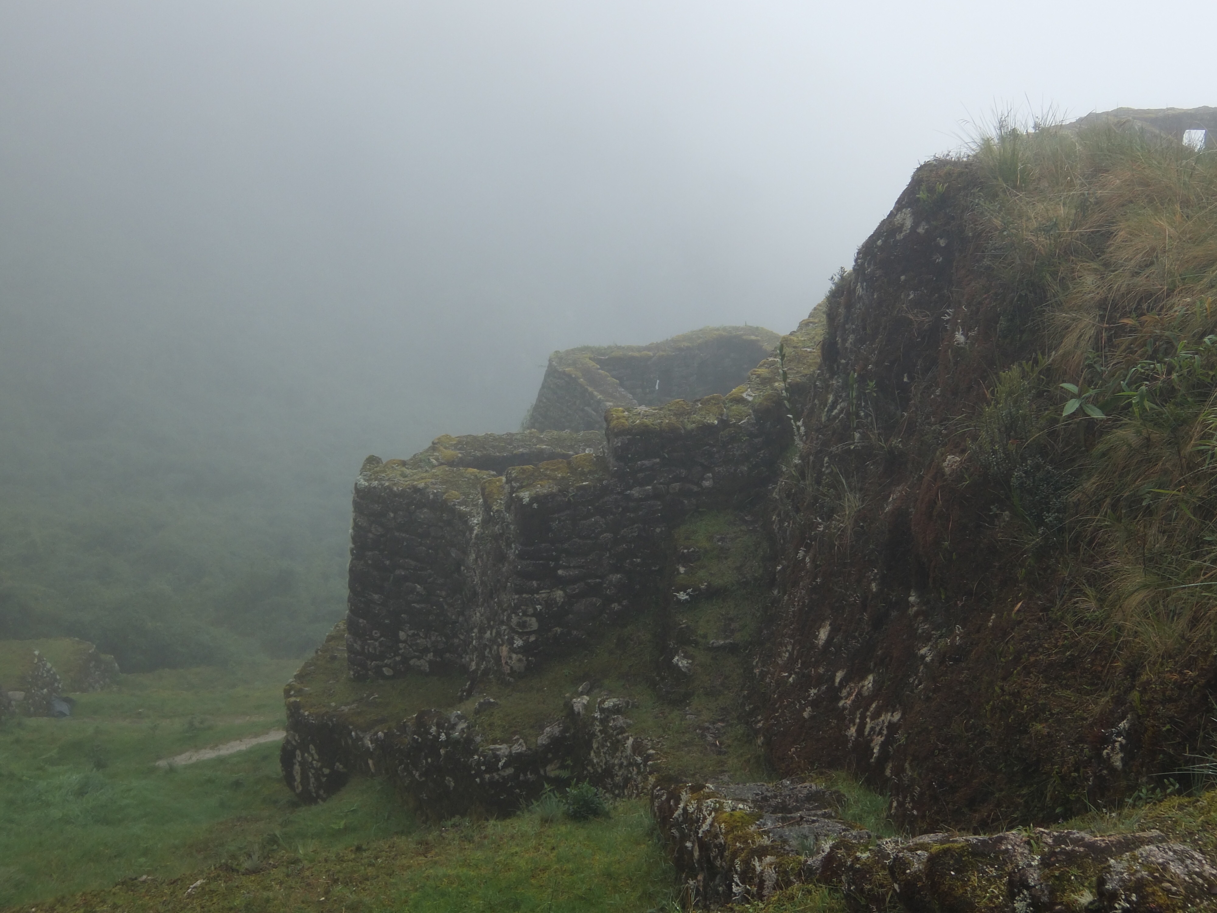 CBD6C665-8DB6-4AC8-BE34-639776189987