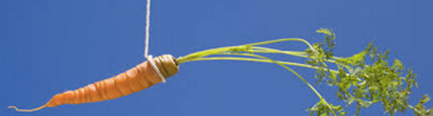 It’s hard to focus with a carrot dangling in front of your&nbsp;face!