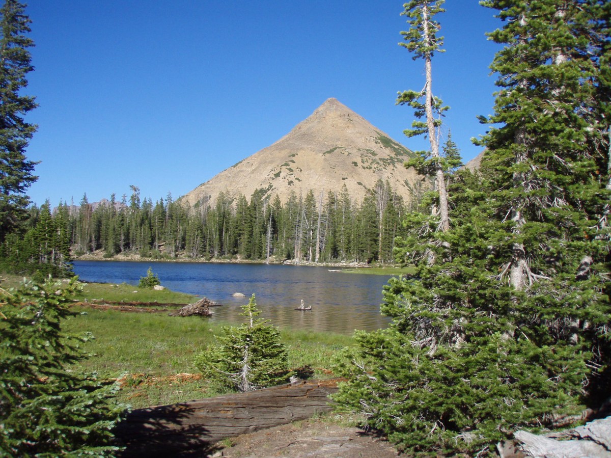 Two Miles High: A Rocky Mountain Tail: Chapter&nbsp;Seven