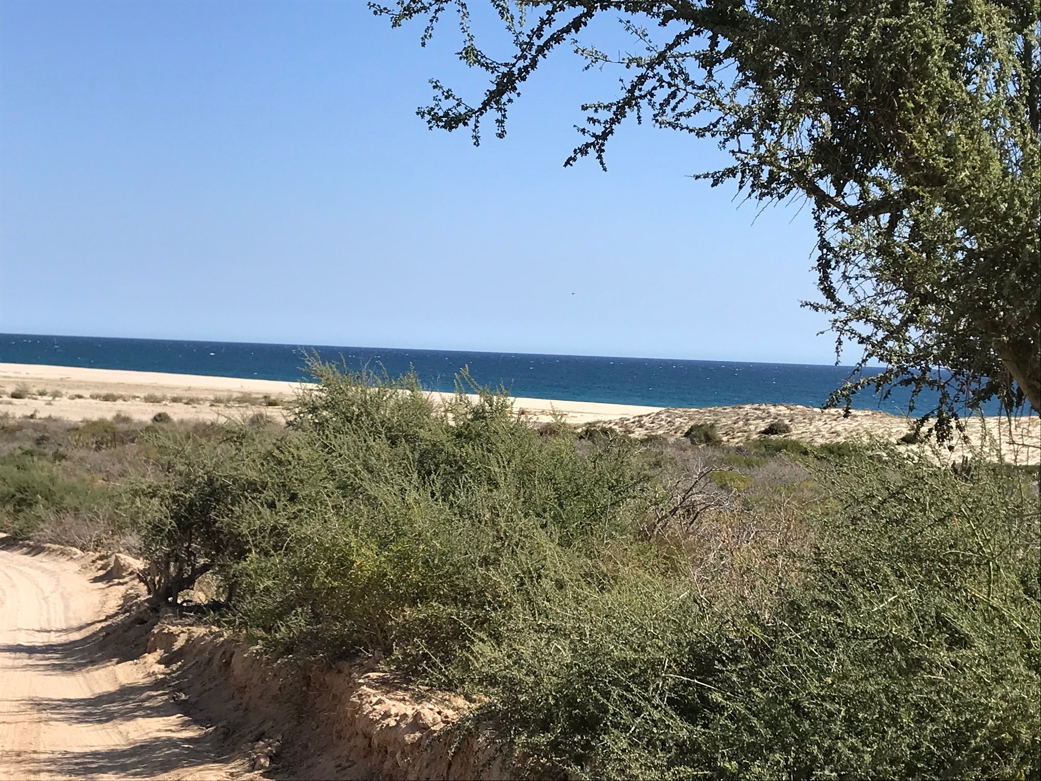 B459535B-3986-43CE-8725-650E6124C6DD