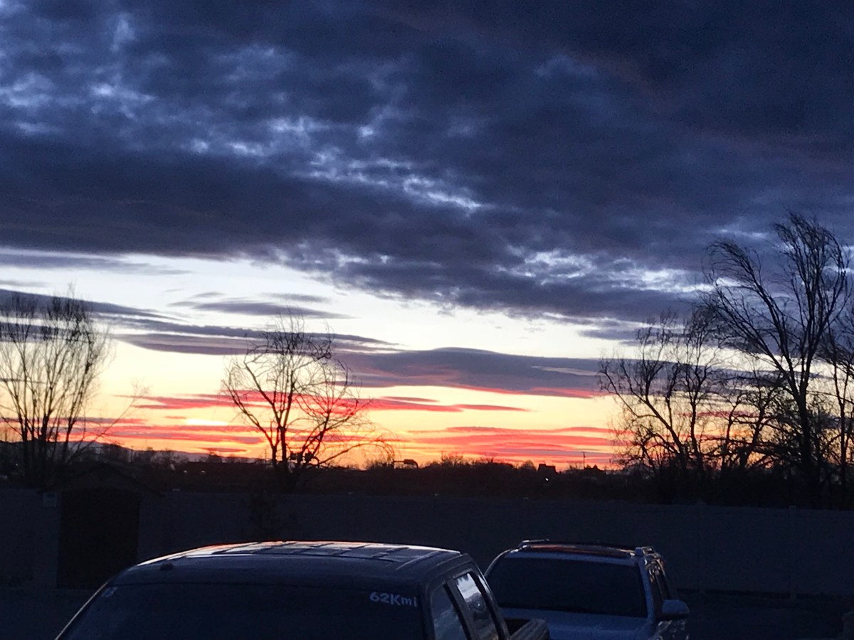 Have I Said This&nbsp;Before?