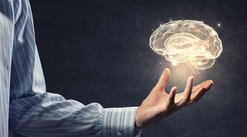 brain-health-800x445