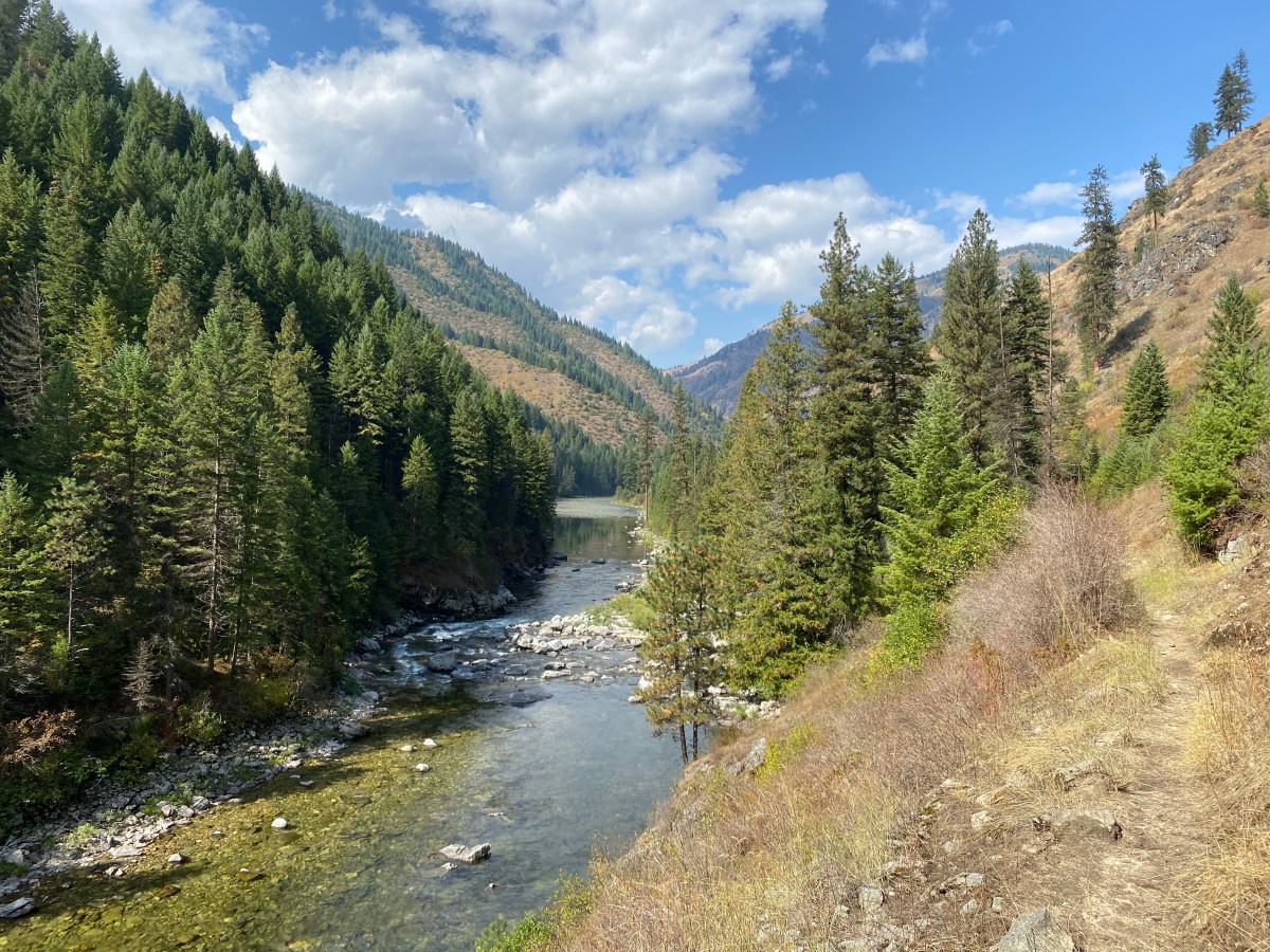 Close Encounters of an Unwelcome&nbsp;Kind