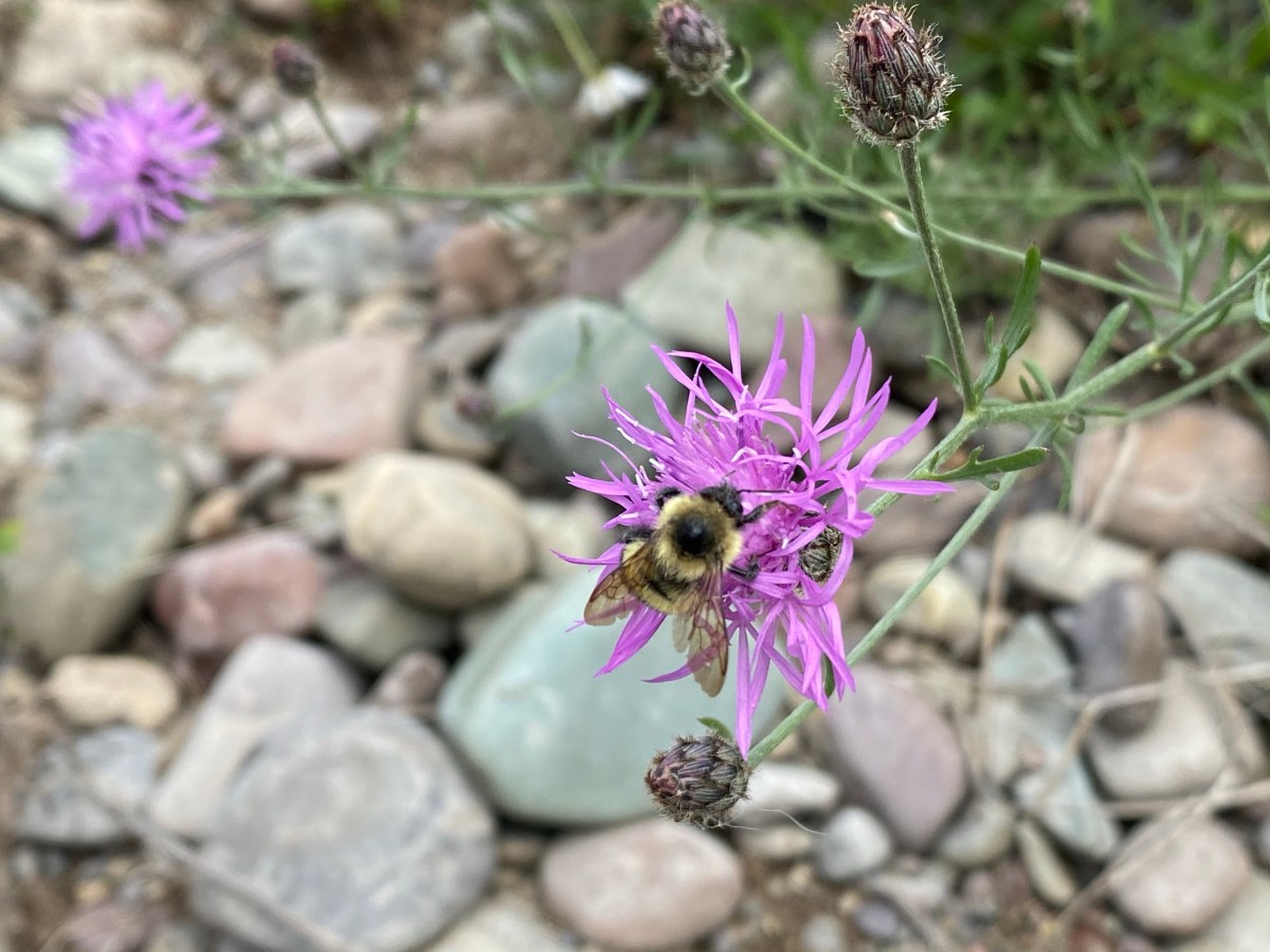 Look down old&nbsp;soul