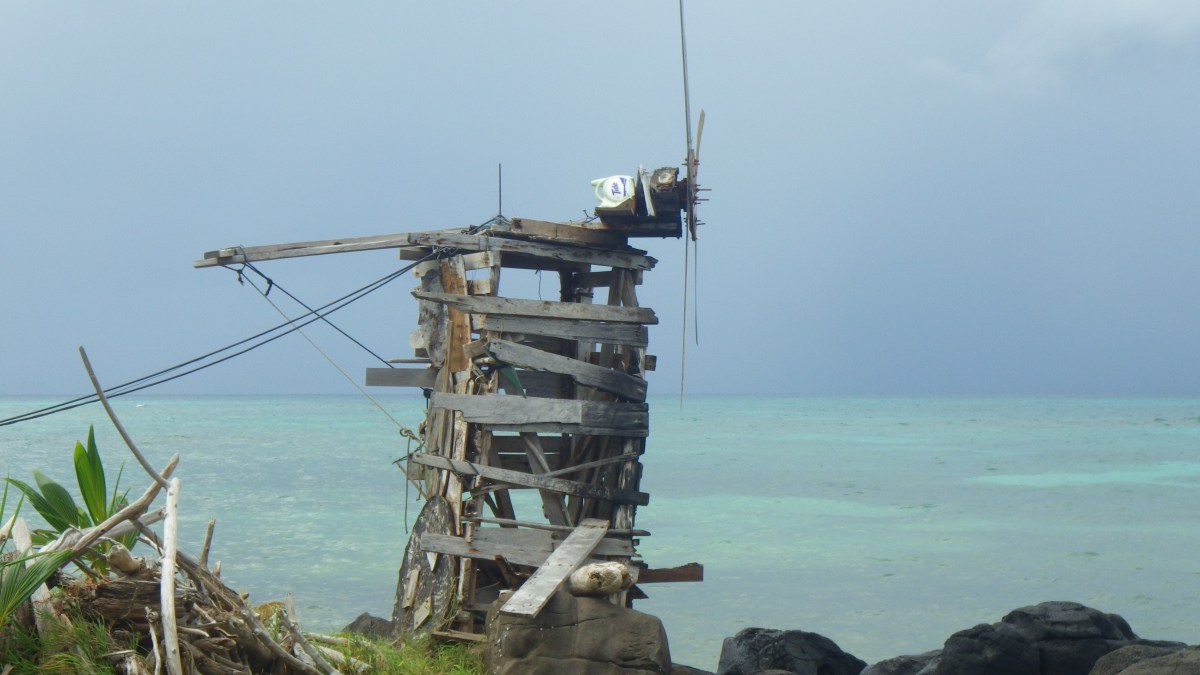 The Child and the Seagull’s&nbsp;Lesson