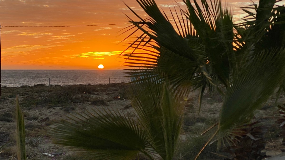 The Child and The Sea Turtle:&nbsp;Luminescence