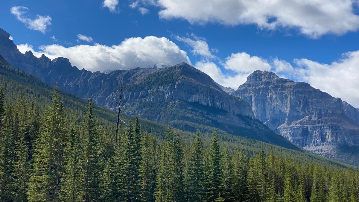 The Child and the Mountain&nbsp;Sheep