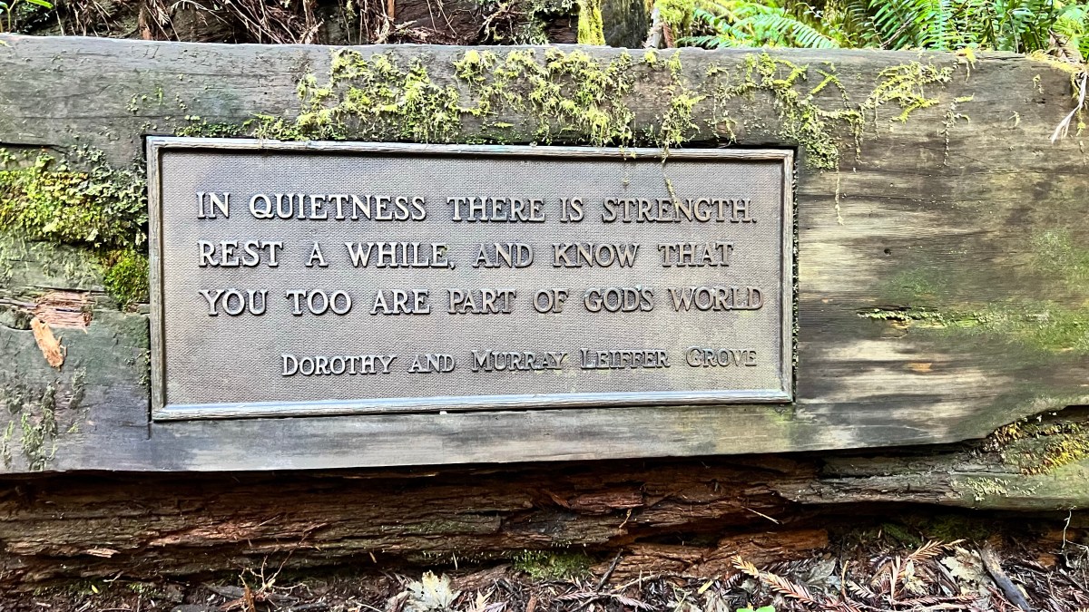 A Small Tear on my&nbsp;Heart