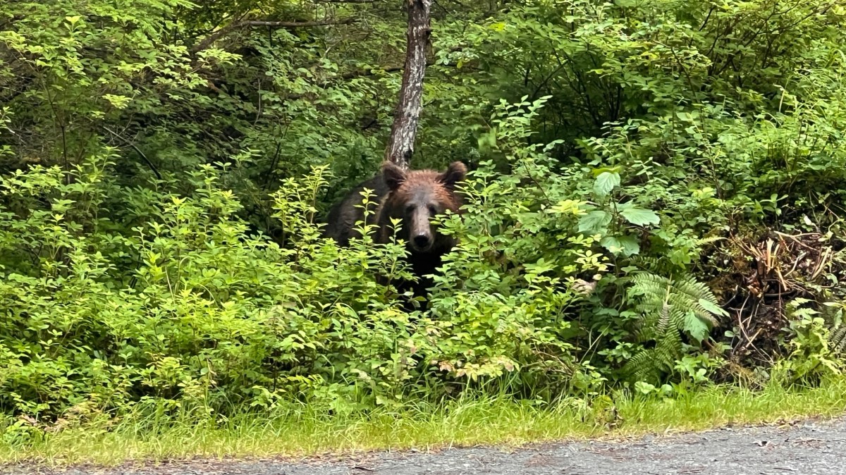 A Myriad of&nbsp;Emotions