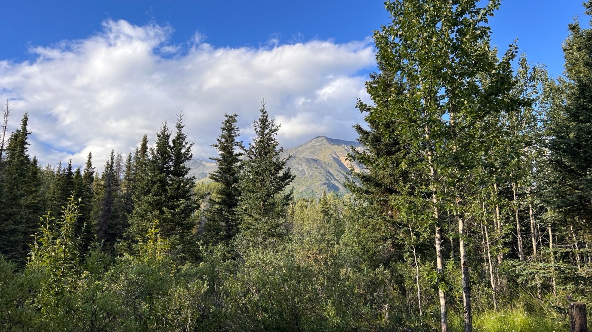 Bug Nets and Bug&nbsp;Spray