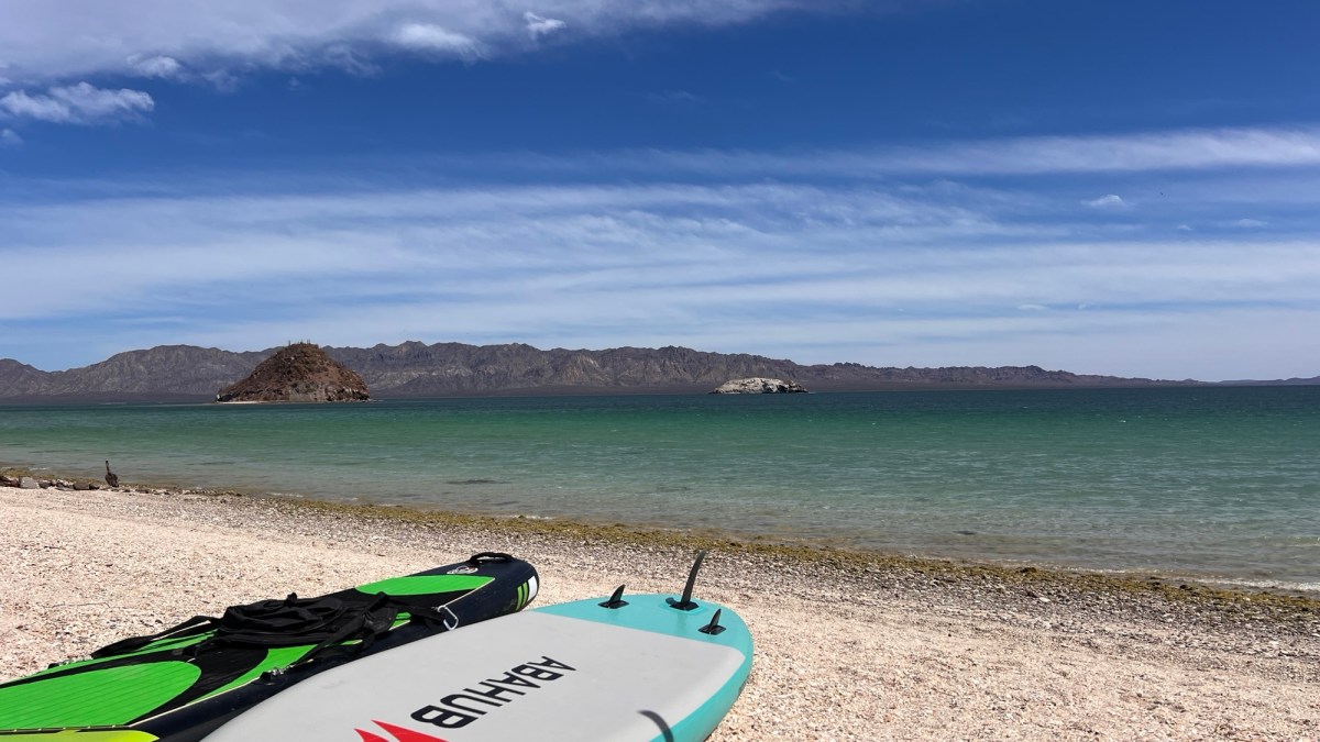 The Days of Our&nbsp;Lives