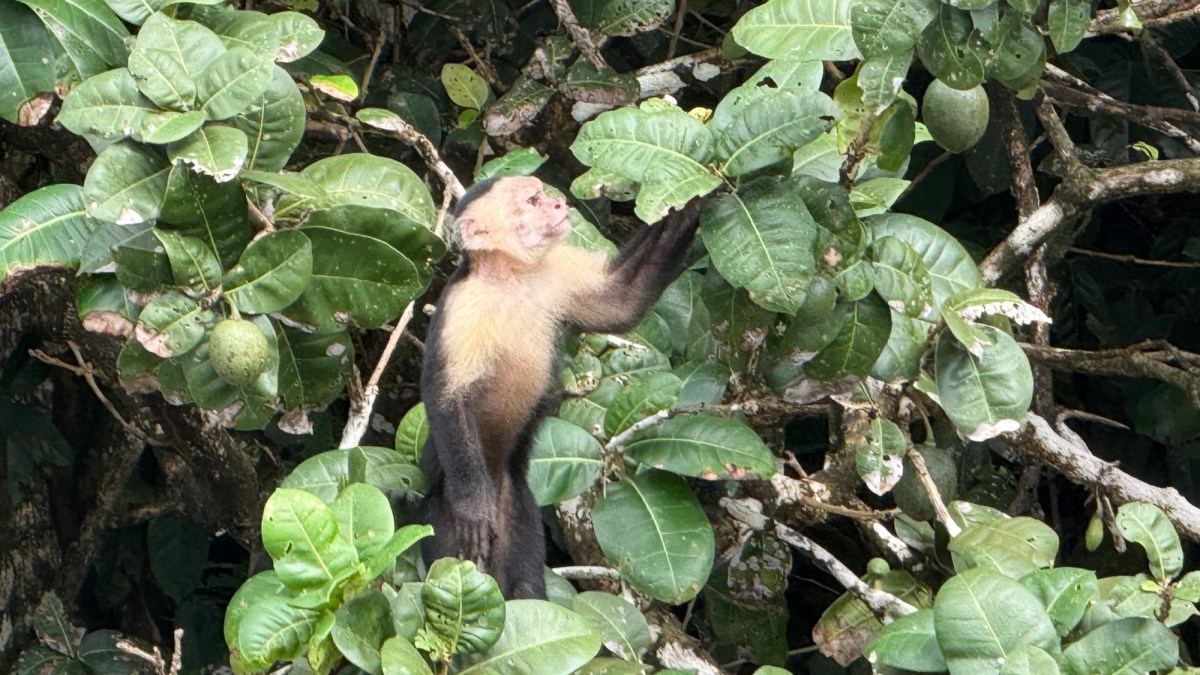 Rain and Rejuvenation