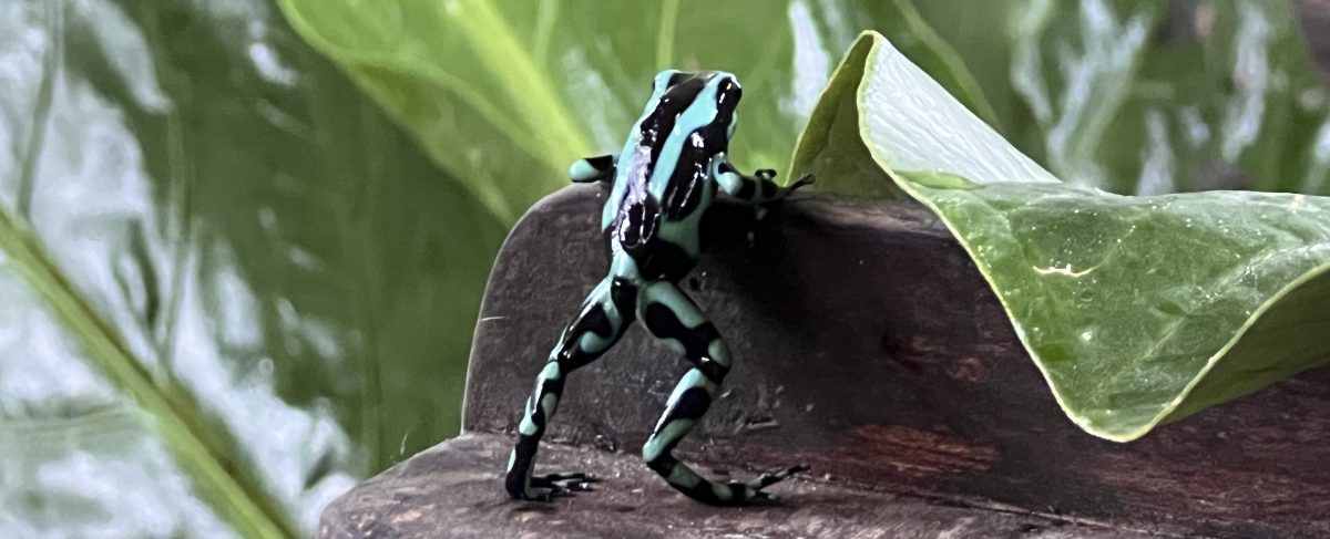 Two Travelin' Chicas…